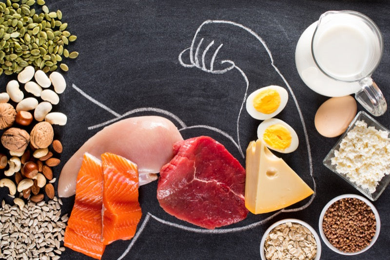High protein food for body builders as meat, fish, dairy, eggs, buckwheat, oatmeal, nuts, bean, pumpkin seed and sunflower seed